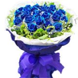 Ǳҵ