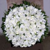 Ǳҵ