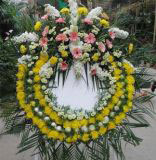 Ǳҵ